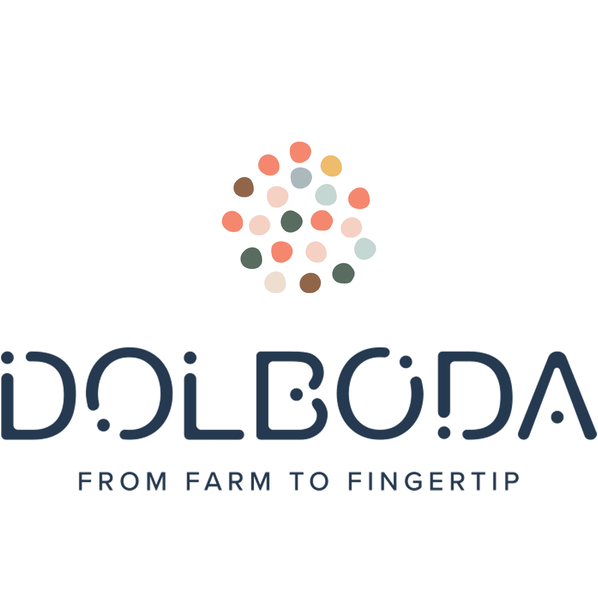 Dolboda LLC